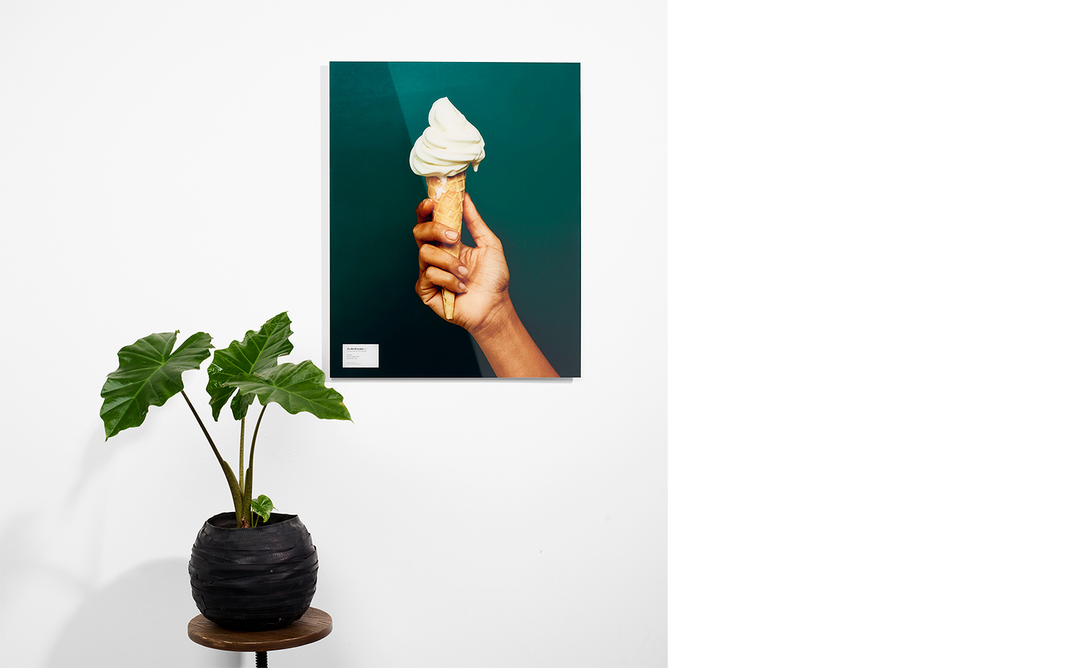 Buy a Print